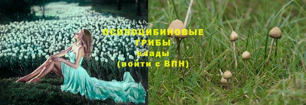 MDMA Белокуриха