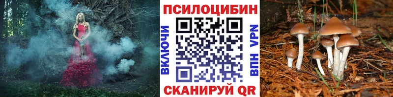 где можно купить наркотик Севск Псилоцибиновые грибы ЛСД